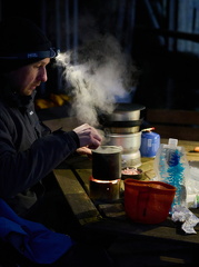 Spejder - Løvebrøl