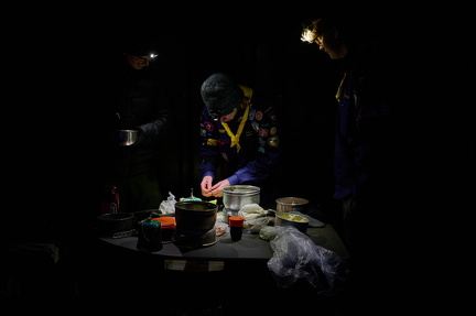 Spejder - Løvebrøl