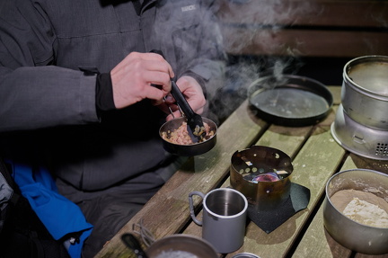 Spejder - Løvebrøl