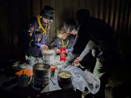 Spejder - Løvebrøl