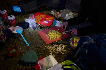 Spejder - Løvebrøl